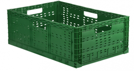 Foldable crate N6422